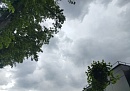 Дожди ожидают калужан в последний рабочий день недели