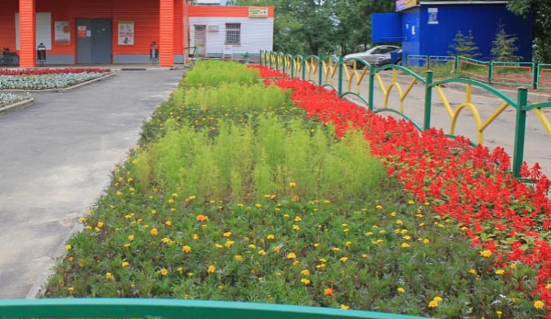 Владельцев торговых объектов Калужской области попросили благоустроить прилегающие территории