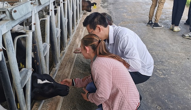 Калужские школьники с ограниченными возможностями здоровья принимают участие в профориентационном проекте 