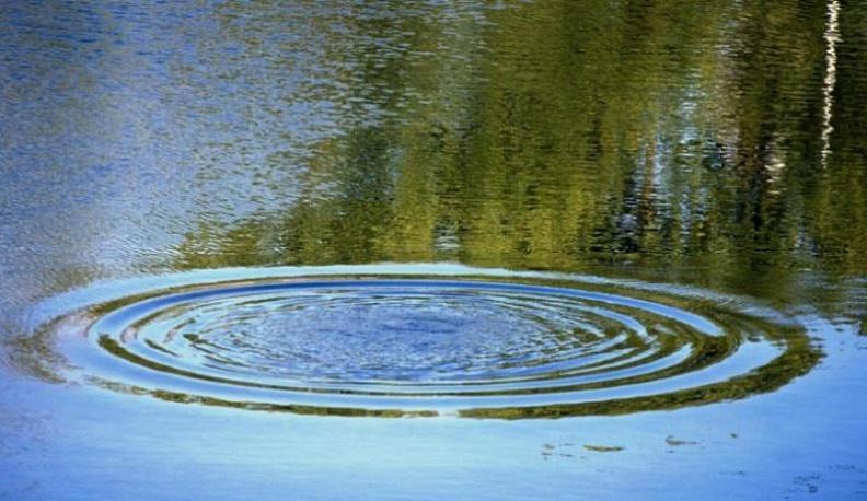 Пропавшего рыбака нашли мертвым 