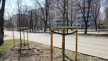 В Калуге планируют озеленить сквер имени Ципулина