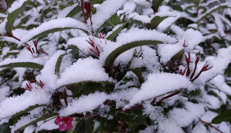 Последняя рабочая неделя года в Калуге начнется со снега