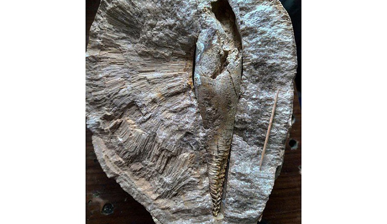 Экскурсия по квартире