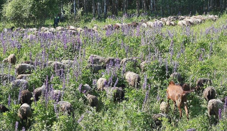Главное - верить в успех Предприятия!