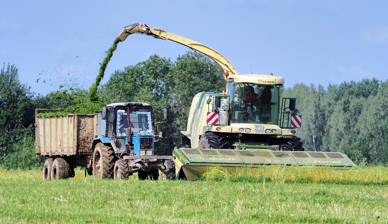 В хозяйствах Калужской области полным ходом идет заготовка кормов