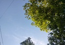 В Калужской области продолжают работать ПВО В Калужской области продолжают работать ПВО