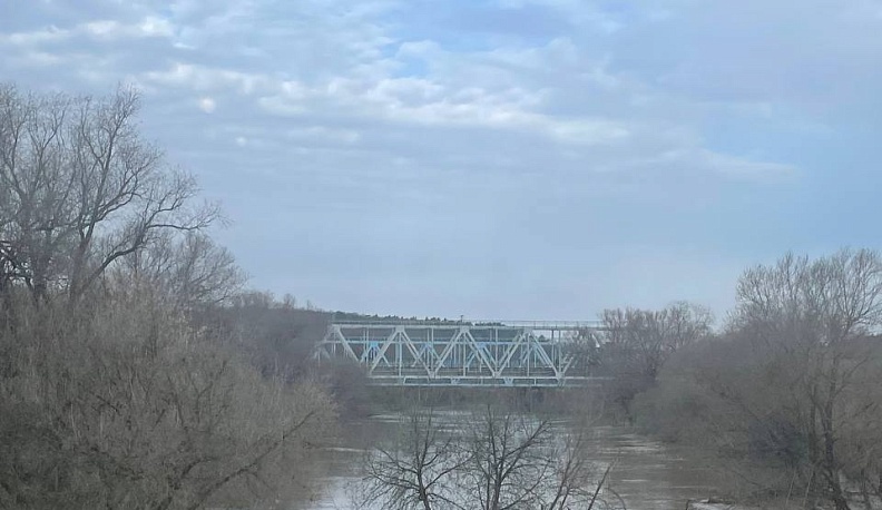 Уровень воды в Протве продолжается снижаться