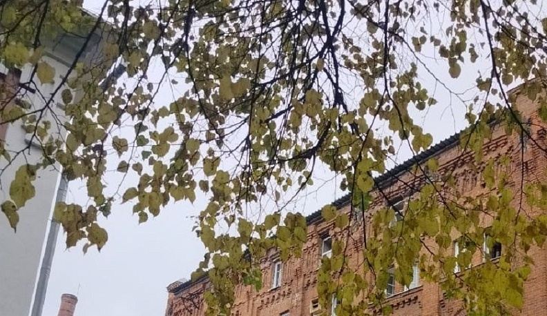 В Калужскую область пришла осенняя погода