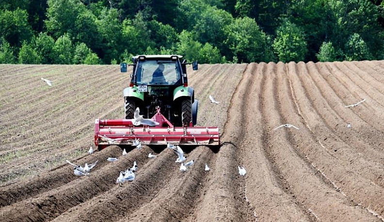 Всех накормим!