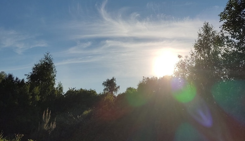 Солнечная и комфортная погода ждет калужан в четверг