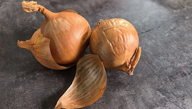 В Калужской области снизились цены на репчатый лук