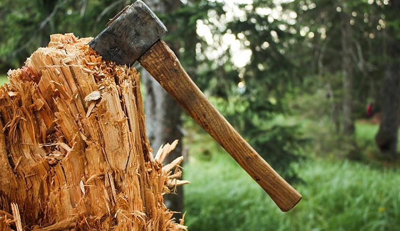 В Износковском районе поймали «черных» лесорубов