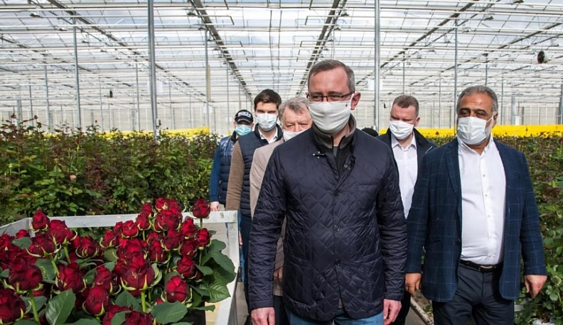 В Калужской области могут создать цветоводческий кластер