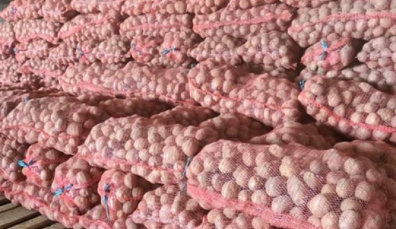 В 2024 году в Калужской области вырос урожай картофеля