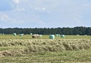 Юхновские аграрии заготавливают корма