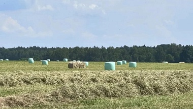 Юхновские аграрии заготавливают корма