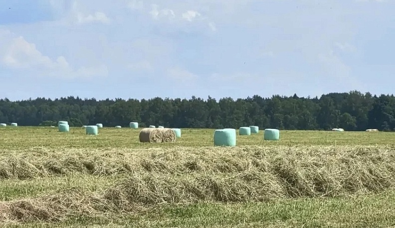 Юхновские аграрии заготавливают корма