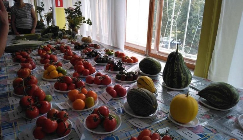 Калужские садоводы обменялись опытом 