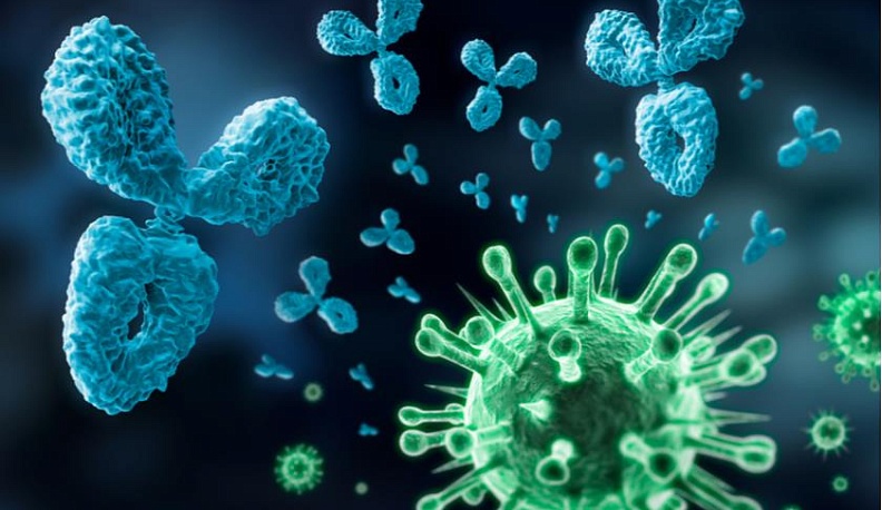 В Калужской области беременных проверят на антитела к коронавирусу