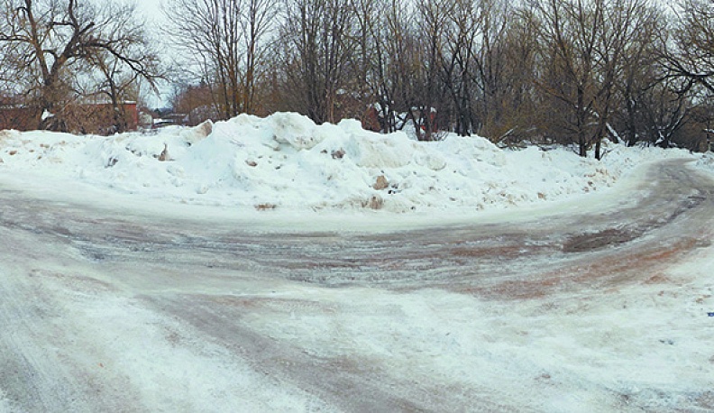 Беспризорница