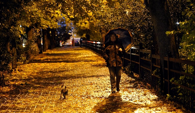 В первый день ноября в Калуге будет дождливо