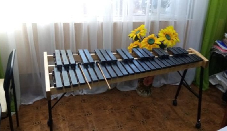 В музыкальных школах Калужской области появятся ксилофоны