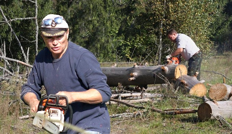 Будь лесу другом!