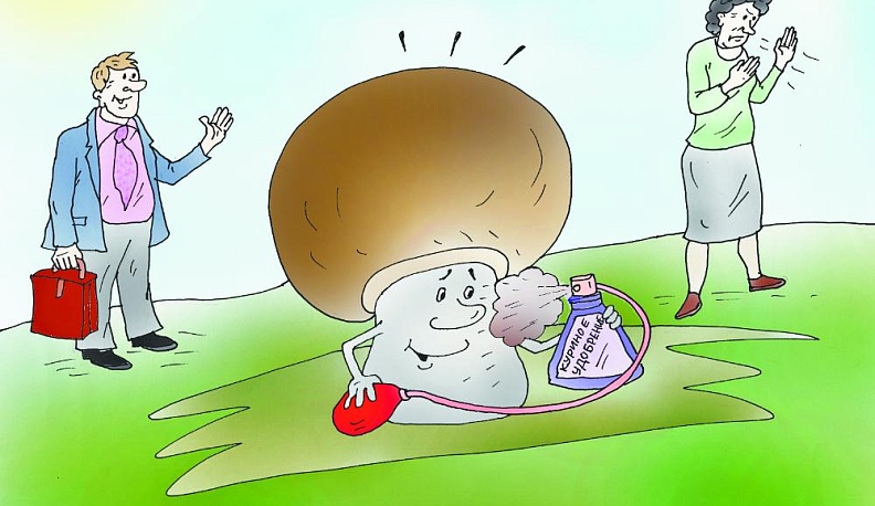 Благое дело… с душком