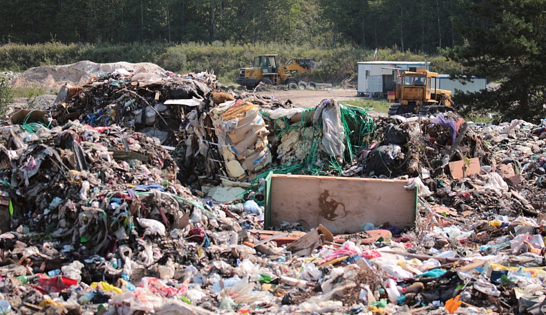 Мусорный переполох