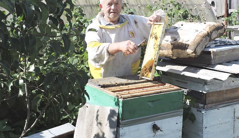 Там, где мёдом намазано