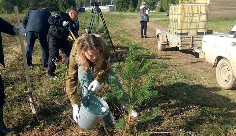 В Медынском районе Ольга Коробова и Игорь Угольников высадили аллею «Народное ополчение» 