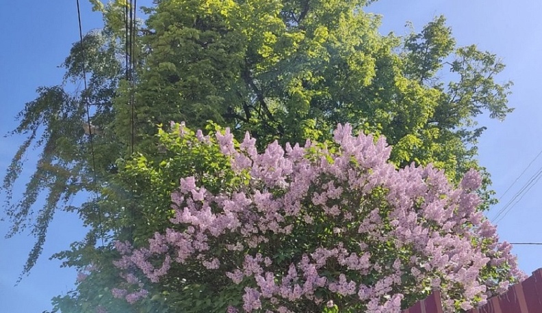 18 мая в Калуге будет самым жарким днем за последнее время