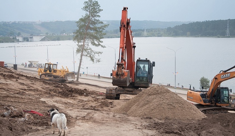 В Калуге появился четвероногий строитель