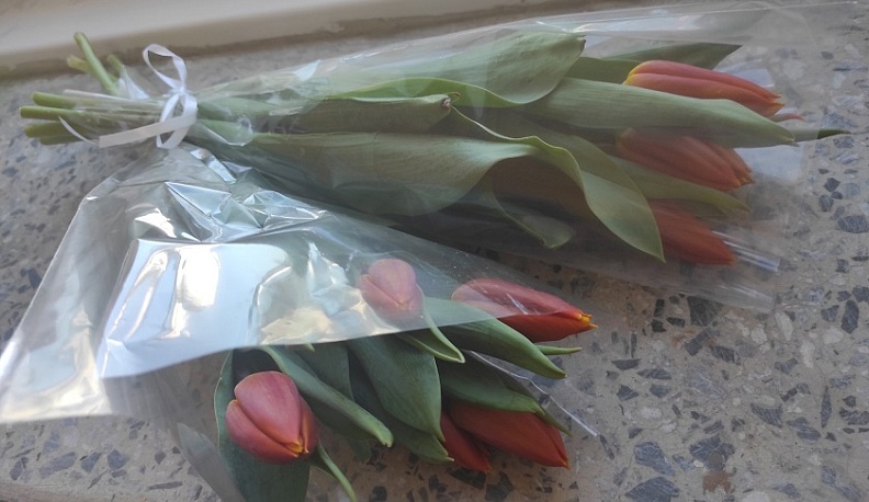 В Калужской области за год собрали более 50 миллионов цветов