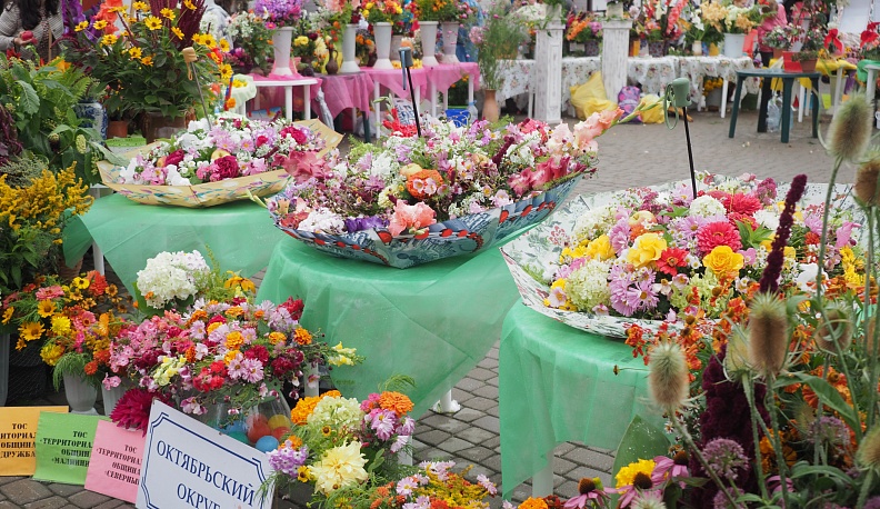 Территории красоты