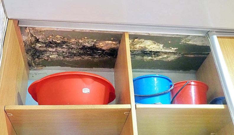 Сиротская доля