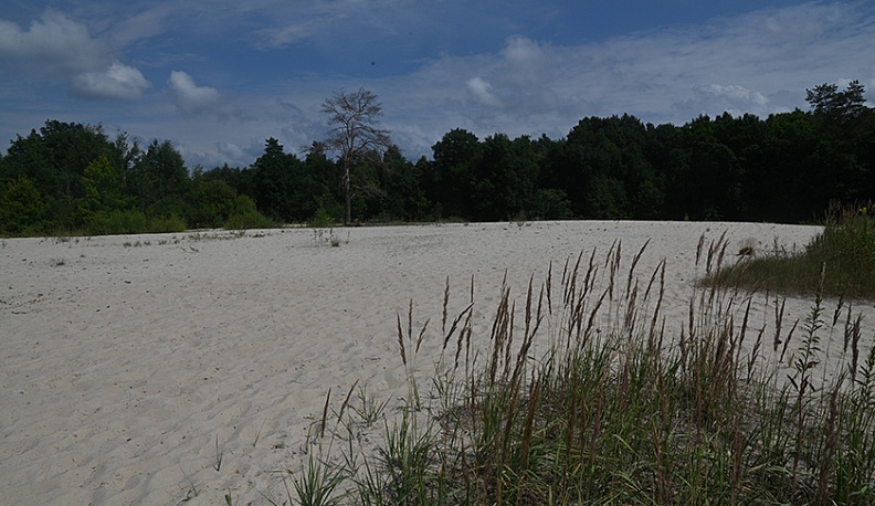 Белые пески Рессеты