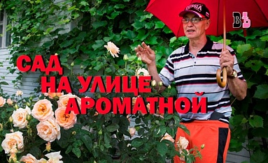 Сад на улице Ароматной 