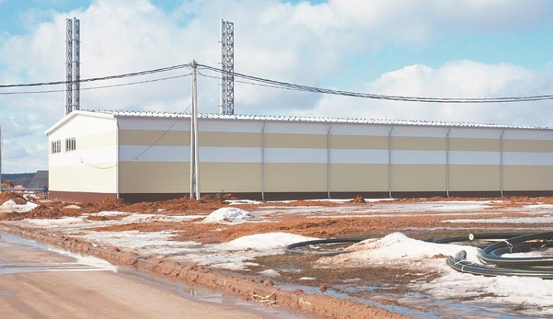 Шампиньоново царство