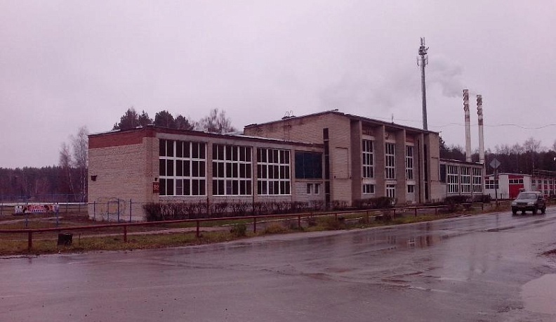 Соколята учатся летать