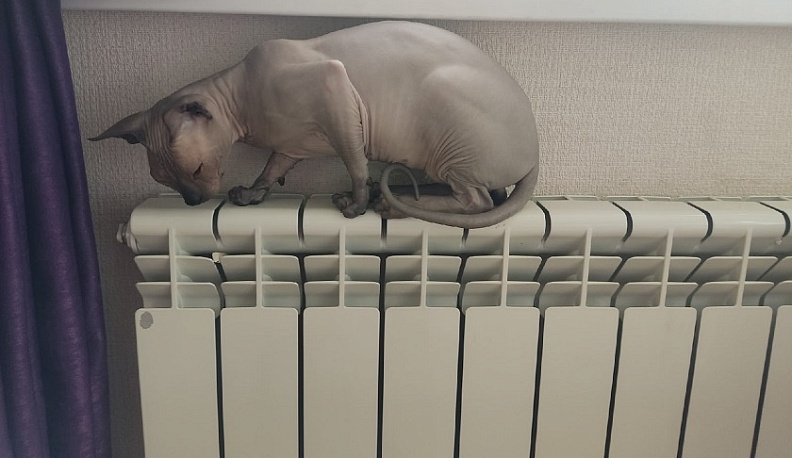 Теперь во всех домах Калуги стало тепло