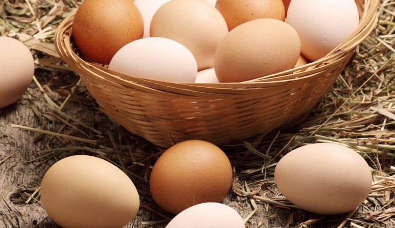 В Калужской области зафиксировали минимальные цены на консервы и яйца