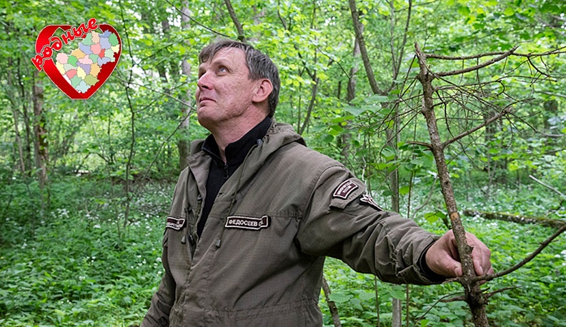 Страж засечного леса