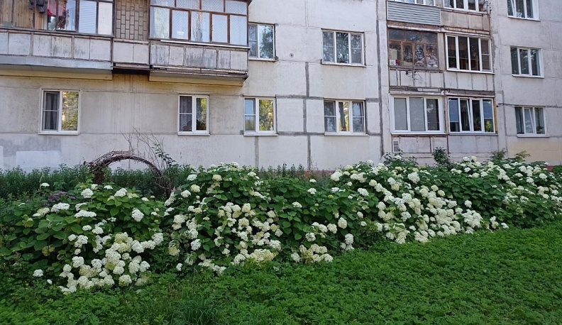 Спасибо всем, кто в деле!