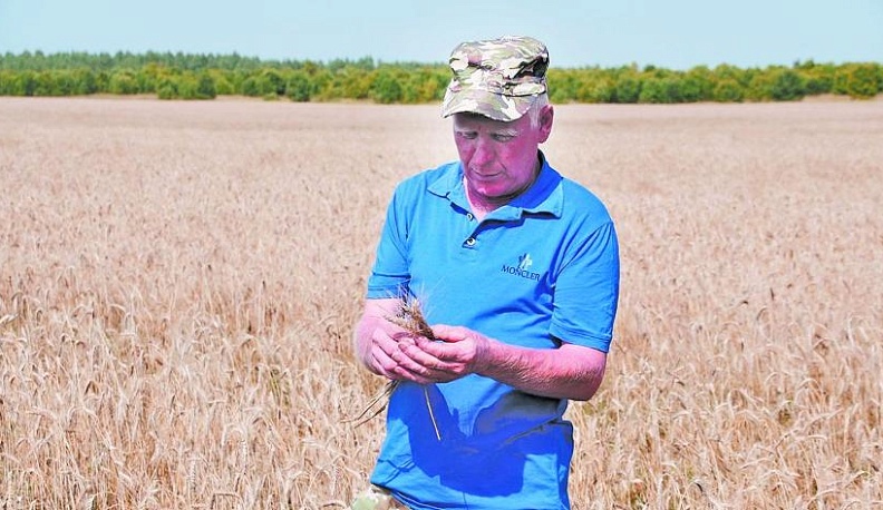 Старательному труженику – щедрый урожай