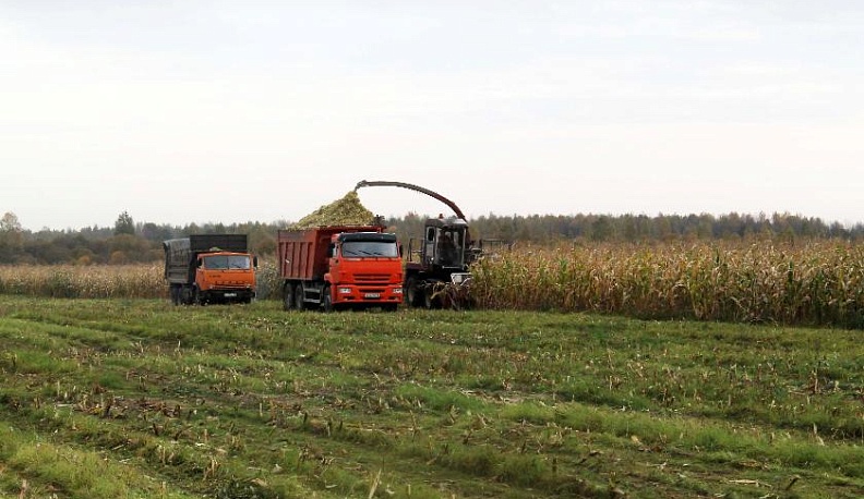 В Жиздринском районе выросло валовое производство сельхозпродукции