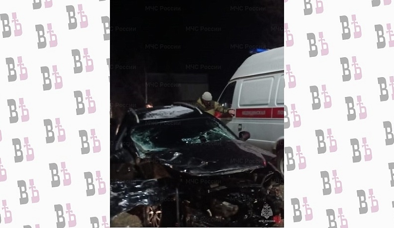 В Калужской области при аварии «Шевроле» и «Рено» пострадало 5 человек