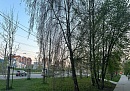 Грозовой фронт и +22°С: в Калужскую область возвращается майское тепло