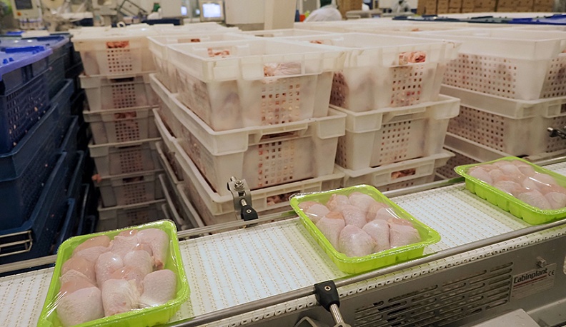 Калужские куры полетели в Поднебесную