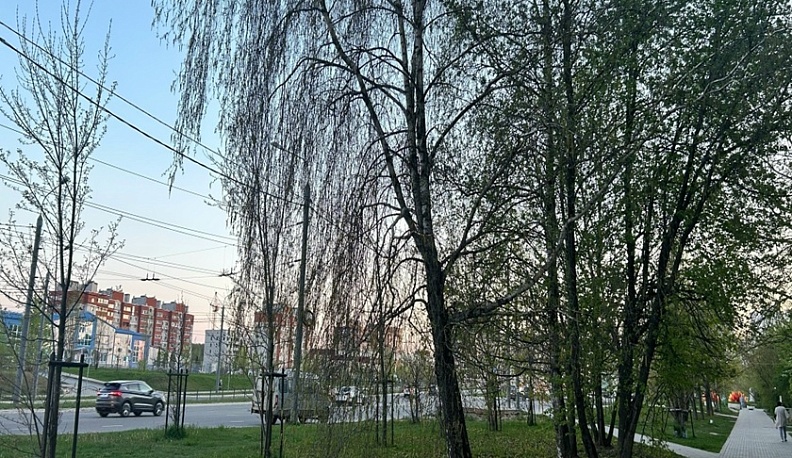 Грозовой фронт и +22°С: в Калужскую область возвращается майское тепло